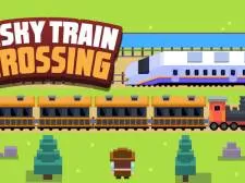 Risky Train Crossing